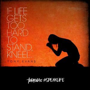 Meet your Posher, Belynda